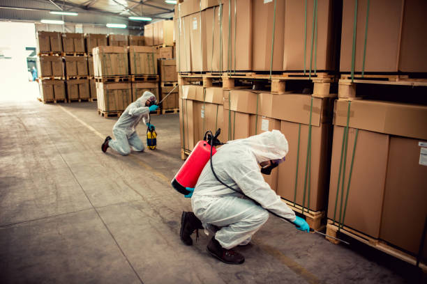 Best Pest Removal Services  in Mcsherrystown, PA